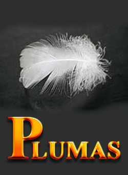 plumas